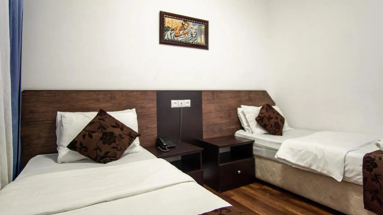 Aia Hotel Tbilisi 3*,